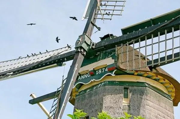 Close-up van de kap en wieken van de Hoekermolen