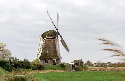 Overzicht van de Hoekermolen in het polderlandschap